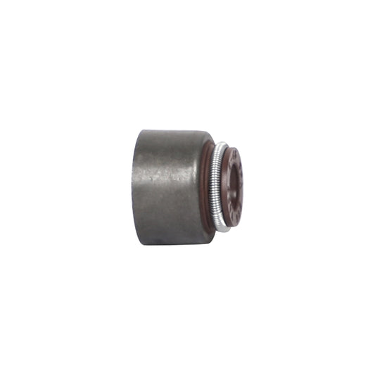 Suzuki Ertiga Valve Stem Seals 2019+